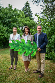 Präsentation Waldpädagogik Projekte Spessart - Judith Schmidhuber